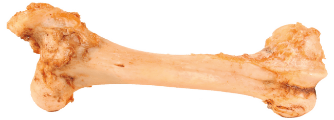 Лакомство для собак – TRIXIE Jumbo Bone, 40 cm, 1,2 kg