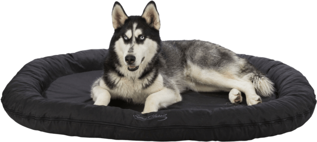 Guļvieta suņiem – TRIXIE Samoa Classic Cushion, 140 x 105 cm, Black