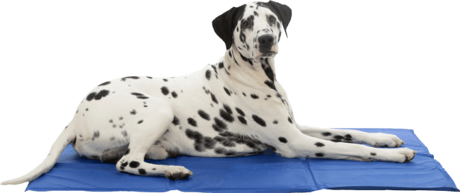 Atvēsinošs paklājs suņiem – TRIXIE Cooling Mat, 110 x 70 cm, blue
