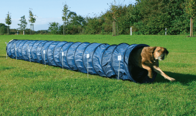 Adžiliti tunelis suņiem – TRIXIE Dog Activity Agility Basic Tunnel, 60 cm/5 m, Blue