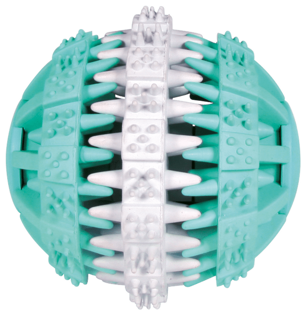 Hracka DENTAfun lopta, Mintfreschgumovy vyrobok 7.5cm