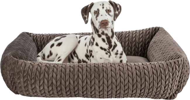 Guļvieta suņiem – TRIXIE Livia Bed, 80 x 60 cm, brown