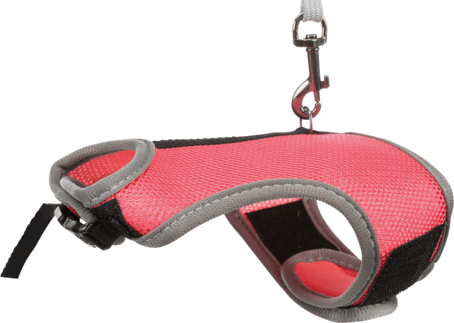 Krūšu siksna grauzējiem – Trixie Soft Harness with Leash 25–32 cm, 1,2 m