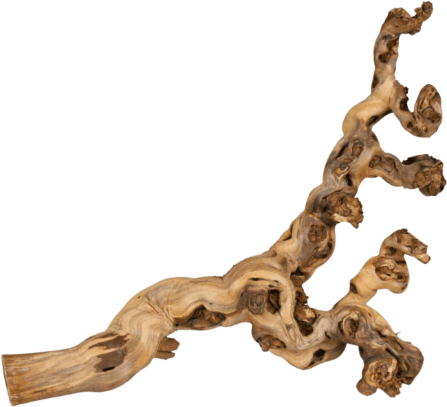 Dekors terārijem - TRIXIE, Grape Vines, Sand-Blasted XL, 55 – 80 cm 