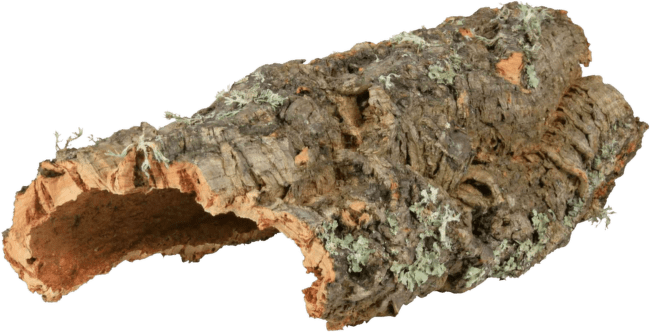 Dekors terārijem – TRIXIE, Cork board M, 40 cm