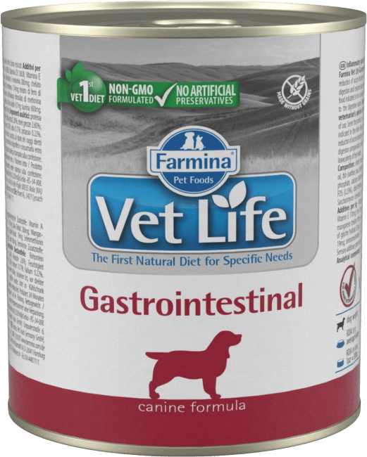 Vetlife Gastrointestinal dog konzerva 300 g