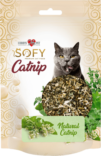 Kocúrnik obyčajný sypaný Cobbys Pet SOFY Catnip 15 g