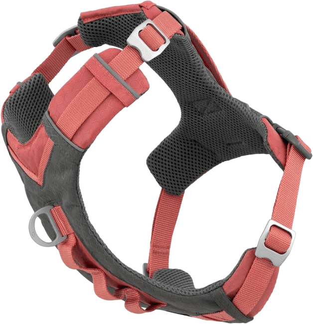 Postroj Kurgo Journey Air M Coral