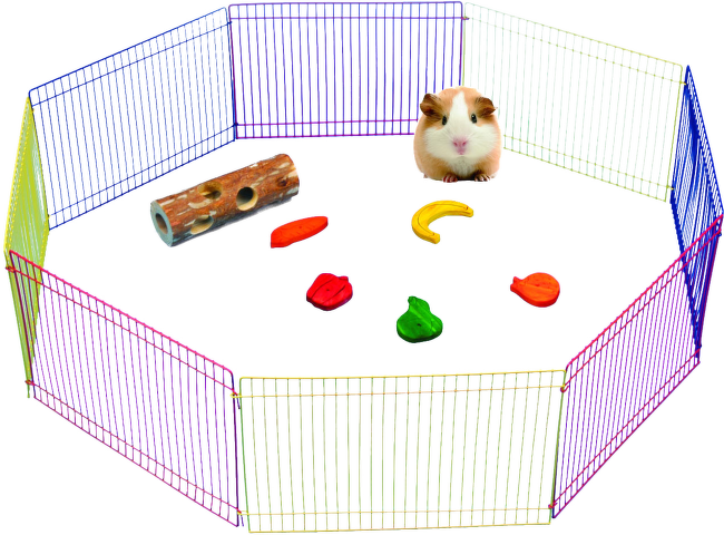 Rotaļu laukums grauzējiem – Pawise Hamster Play Pen