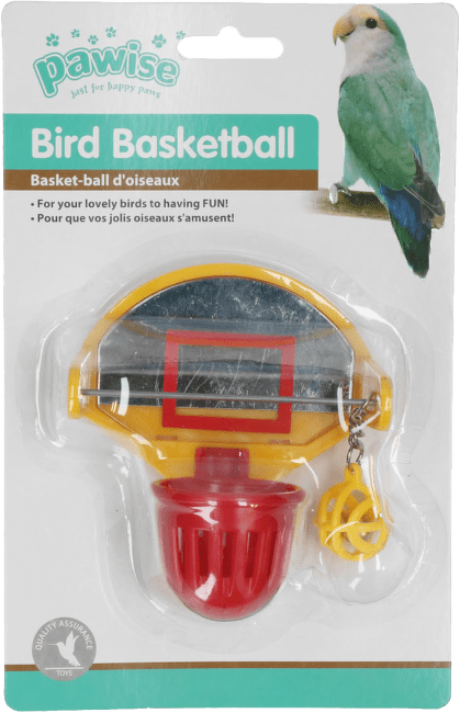 Rotaļlieta putniem – Pawise Bird Scoot the ball