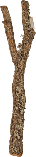 Dennerle Korkový konár do 50 cm
