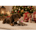 Hračka Dog Fantasy Skinneeez Králik s lanom 57 cm