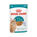Консервы для кошек – Royal Canin Ageing 11+ Jelly, 85 г