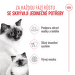 Royal Canin Babycat 2kg