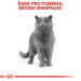 Royal Canin British Shorthair 400g