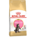 Barība kaķēniem – Royal Canin Feline Maine Coon Kitten, 10 kg