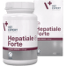 Papildbarība dzīvniekiem – VetExpert, Hepatiale Forte, 300 mg, 40 gab.