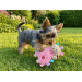 Hračka Dog Fantasy Cuddle ovečka růžová 20 cm