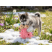 Hračka Dog Fantasy Cuddle ovečka růžová 20 cm