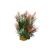 Dekoratīvs augs akvārijam – Aquatic Grass, Red/Green, 15 cm
