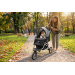 Rati suņiem – PawHut Pet Stroller 110*54*106 cm grey and black