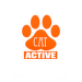 Active Cat