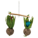 Игрушка для птиц – TRIXIE Seesaw with coconuts, 30 x 50 см