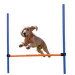Adžiliti šķērslis suņiem – TRIXIE Dog Activity Agility Hurdle, 123 x 115 cm, Blue/Orange