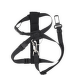 Automašīnas krūšu siksna – Pawise Harness with Safety Belt M: 50-70 cm
