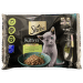 Konservi kaķēniem – Sheba Kitten Variety Pack, 4 x 85 g