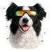 Brýle M-Pets Sunbather pro psy
