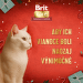 Kapsička Brit Care Cat Christmas morčacia polievka s mrkvou 75g