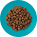 Krmivo Applaws Dry Cat mořské ryby, losos 350g