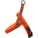 Postroj AD Neoprene S oranzovy 1,5x45-55cm