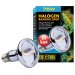 Лампа для террариума - Sun Glo Halogen 75W