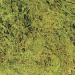 Podestýlka ZOO MED terarijní mechová 3,28l