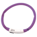 Atstarojošā kakla siksna - DogFantasy LED flashing band, rechargeable, 70cm, lillā