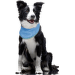 Охлаждающий шарф для собак – Dog Fantasy Cooling Bandana, XL