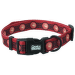 Ошейник и поводок – Game of Thrones Targaryen, Red, L