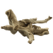 Декор для аквариума - Root of Tree, 27,5 см