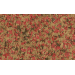 Корм для рыбок – Tetra Goldfish Flakes, 250 мл