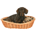 Guļvieta suņiem - Dog Basket, 70cm, bēša krāsa