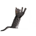 Škrabadlo CAT IT Vase