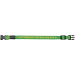 Atstarojošā kakla siksna suņiem - Flash Illuminous Collar USB, S-M, 30-40cm/25mm, zaļa