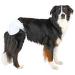 Памперсы для собак – TRIXIE Diapers for Female Dogs, XL: 40–58 см, 12 шт.