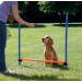Adžiliti šķērslis suņiem – TRIXIE Dog Activity Agility Hurdle, 123 x 115 cm, Blue/Orange