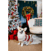 Hračka Dog Fantasy Winter Tale hlava soba pískacia 23cm