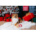 Hračka Dog Fantasy Winter Tale vianočná sada tenisových loptičiek 3ks