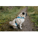 Светящаяся LED шлейка – DogFantasy Quick-wear LED harness, M/L, 140 см.
