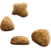 Krmivo IAMS Cat Adult Chicken 2kg + 500g zdarma